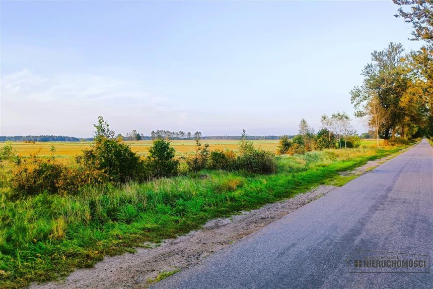 Działka letniskowa-budowlana nad jez. Wierzchowo. miniaturka 7