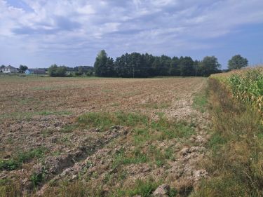 Malinówka, gm. Cyców - działka budowlana