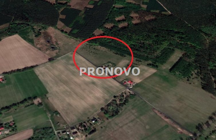 działki budowlane od 3000m2 Osina miniaturka 2