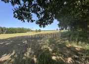 Działka z W.Zabudowy w Radzanku –Gm.Maszewo miniaturka 10