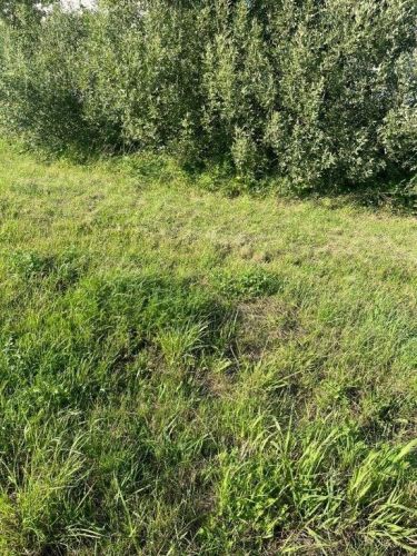 Rusinowo, 51 000 zł, 3 ar, przyłącze wodociągu