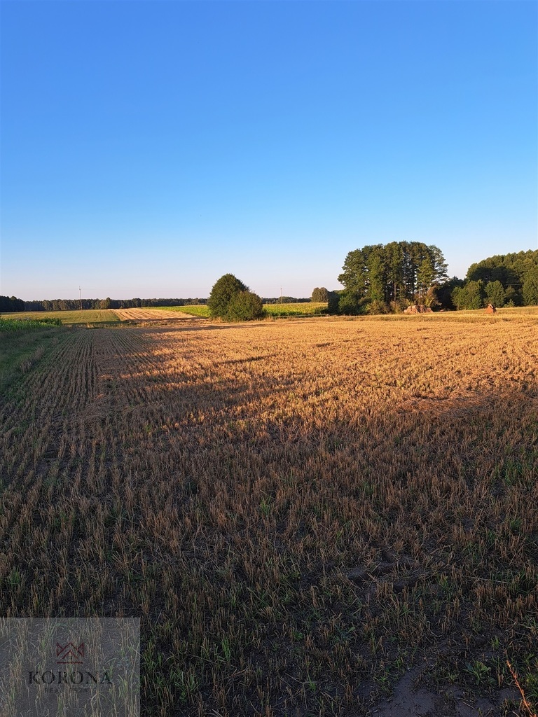 Działka nad jeziorem  w miejscowości Woźnawieś miniaturka 6