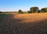 Działka nad jeziorem  w miejscowości Woźnawieś miniaturka 6