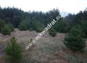 Zalesie działka 1243m2 miniaturka 1