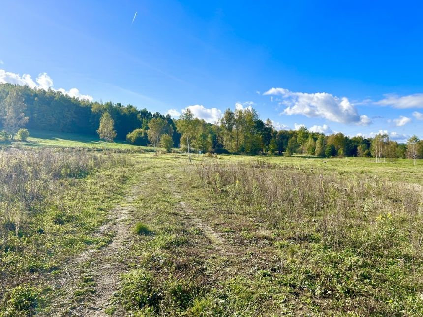 Widokowa działka w Łomnicy z Naturą 2000 miniaturka 7