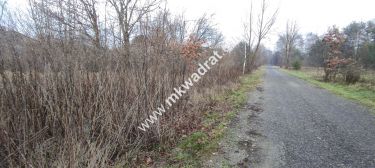 Działka Budowlana 4851 m Budy Grzybek