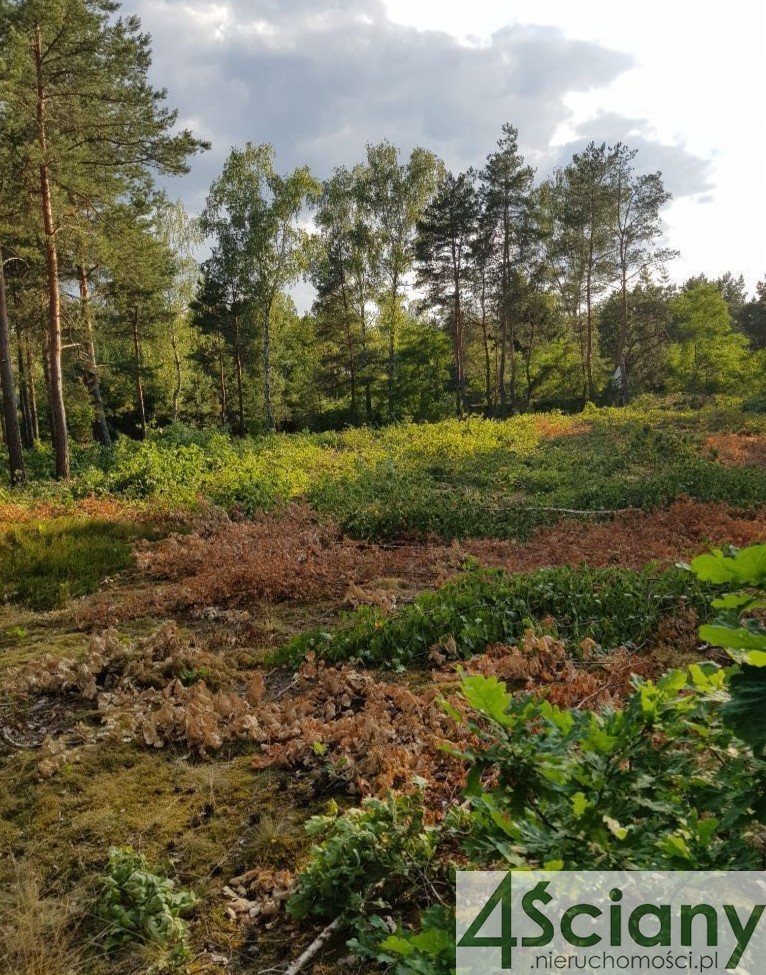 PRZEPIEKNA DZIAŁKA WŚRÓD REZYDENCJI, WIŚNIOWA GÓRA miniaturka 11