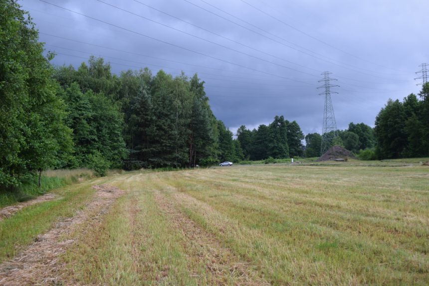 Działka budowlana 39a w Budach Głogowskich miniaturka 9
