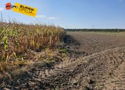 Kraków Nowa Huta, 1 100 000 zł, 71.78 ar, budowlana miniaturka 3