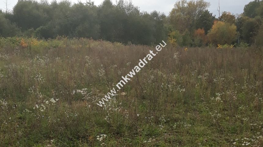 Działka siedliskowa miniaturka 4