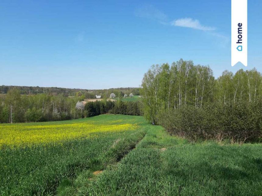 Dom 145 m2  Bogusław gm. Gorzków działka 9500 m2 miniaturka 13