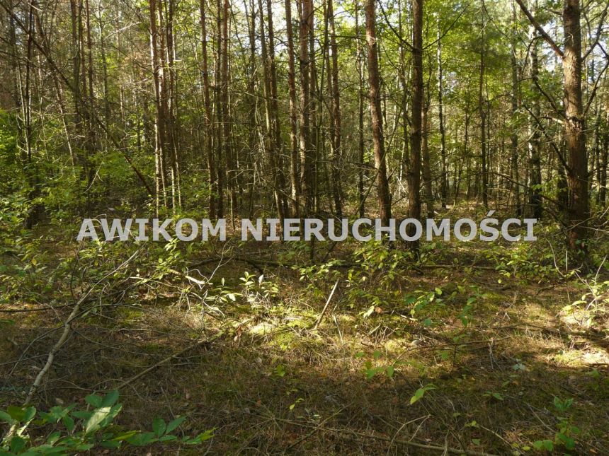 Przewodowice, 299 214 zł, 1.66 ha, woda w drodze miniaturka 10