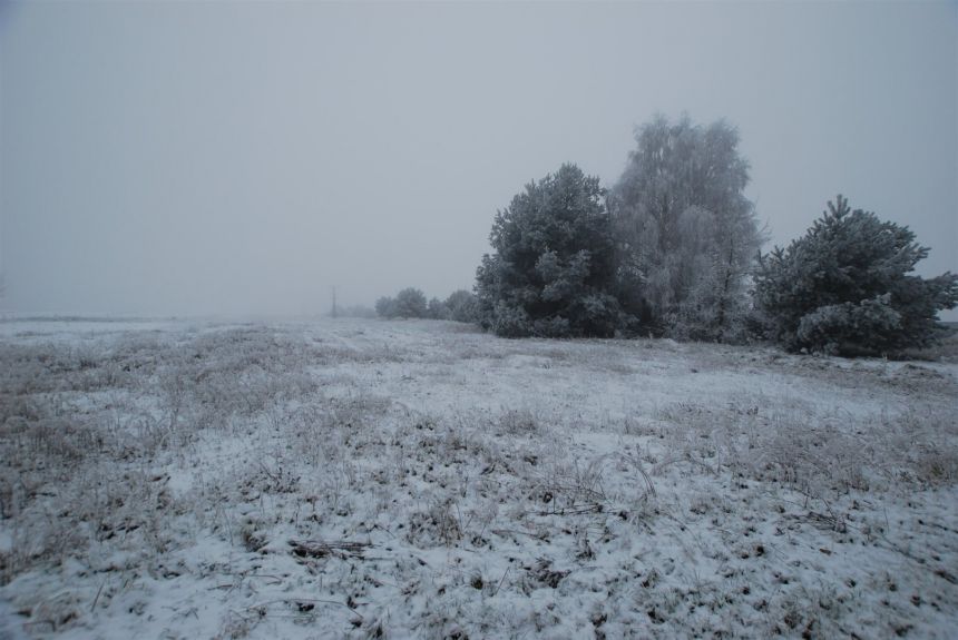 Działka 10082 m2 Bolmin gmina Chęciny miniaturka 3