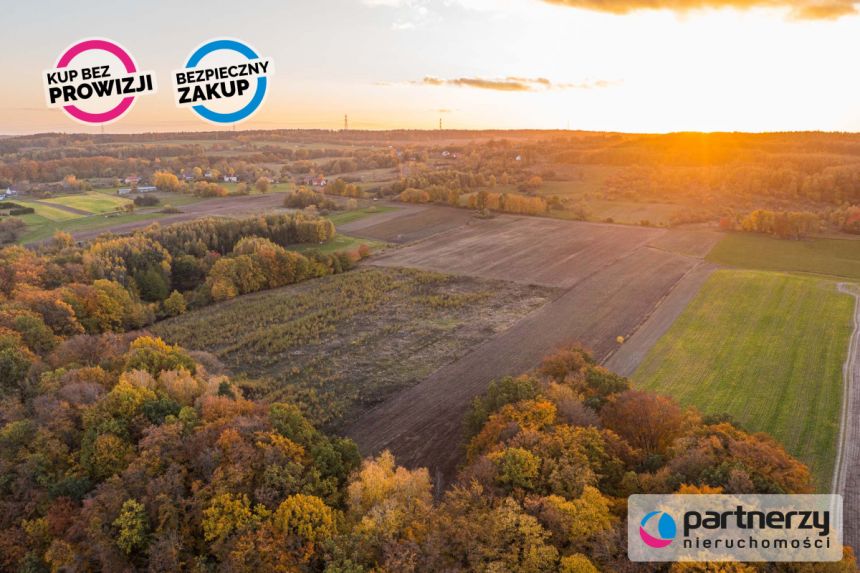 Buszkowy, 130 000 zł, 58 ar, rolna miniaturka 8