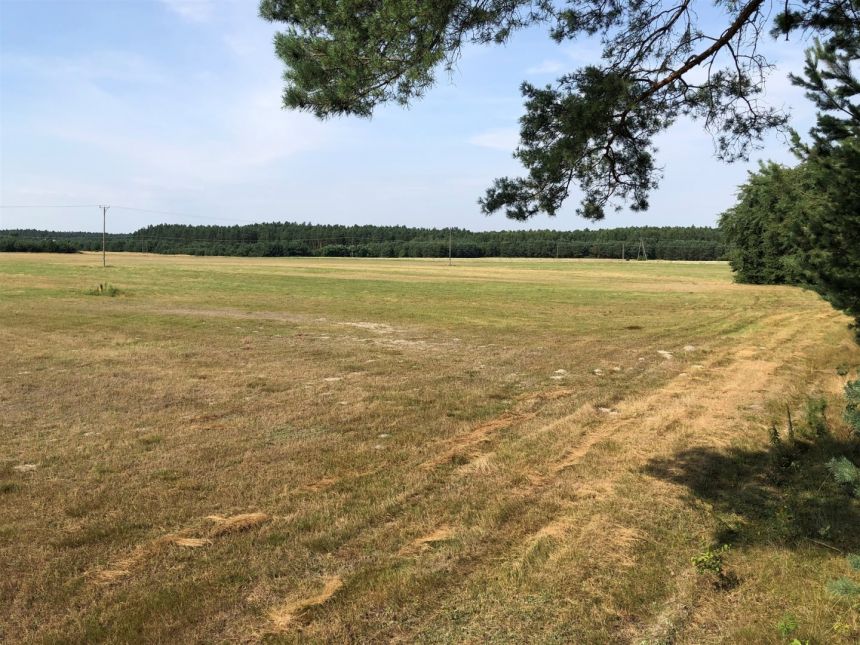 Działki budowlane w Rabinówce! Natura 2000! miniaturka 7