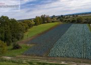 Wawrzeńczyce, 360 000 zł, 2.57 ha, droga dojazdowa asfaltowa miniaturka 2