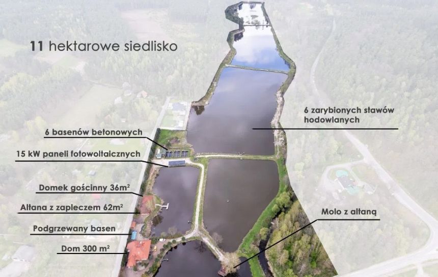 Dom z sauną, łowisko, 6 stawów rybnych miniaturka 20