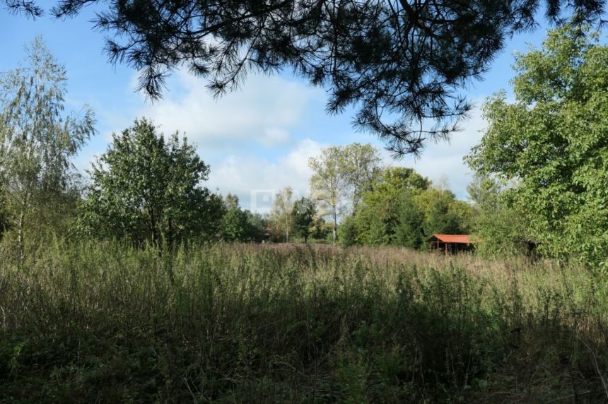 Kwidzyn, 99 000 zł, 51.98 ar, zalesiona - zdjęcie 1