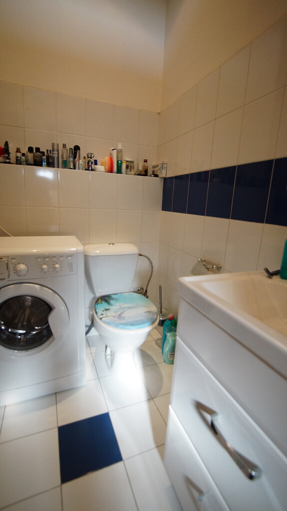 Do wynajęcia mieszkanie 150 m2 w Centrum Opola miniaturka 7