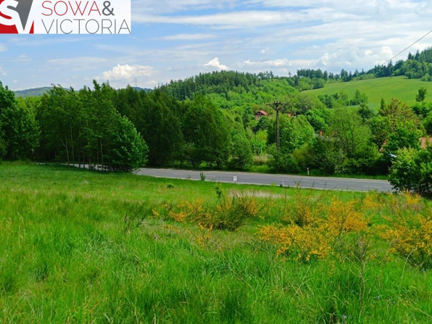 Działka budowlana, 3 km od Wałbrzycha - Promocja! miniaturka 7