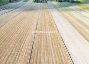 Dom na wsi, duża działka 30 km od Krakowa miniaturka 7