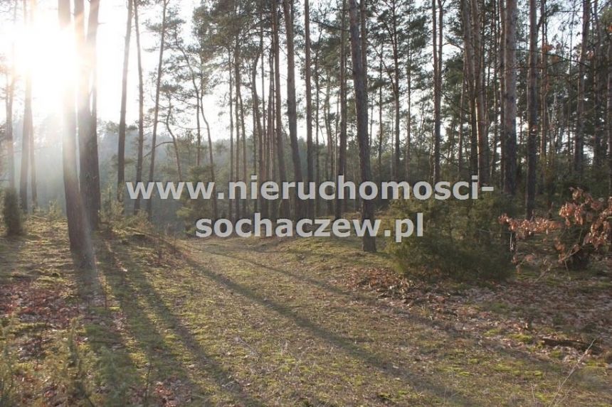 Radziwiłka, 1 656 420 zł, 16.56 ha, rolna z prawem zabudowy - zdjęcie 1