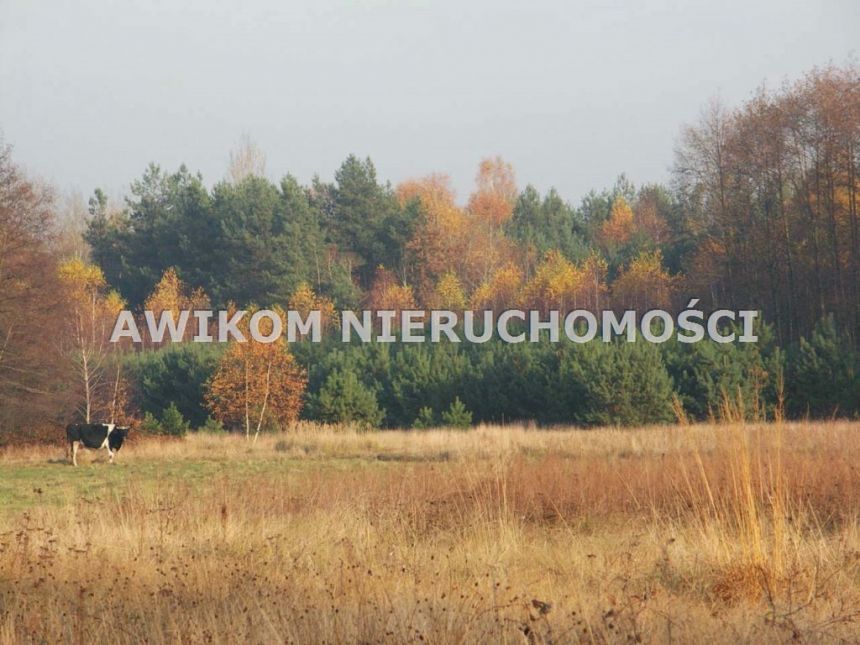 Borowiny, 1 000 000 zł, 3.59 ha, woda w drodze - zdjęcie 1