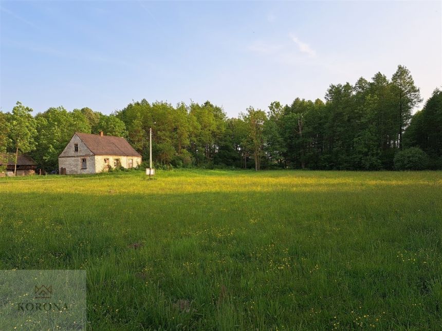 Działka nad  jeziorem Dreństwo miniaturka 8