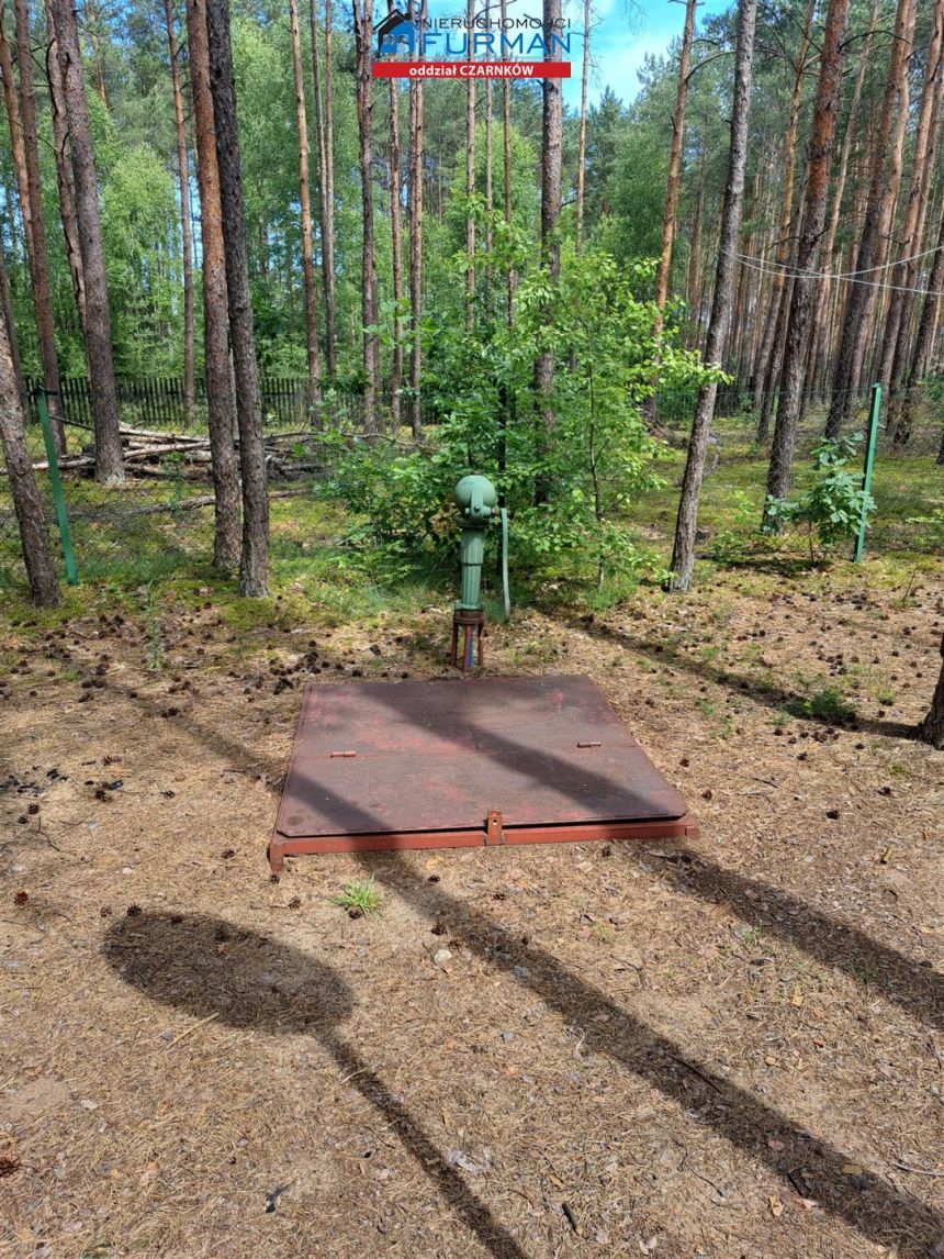 działka zabudowana drenianym dom w Białej miniaturka 12