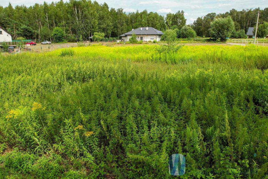 Pasikonie, 225 000 zł, 14.98 ar, droga dojazdowa utwardzona miniaturka 7