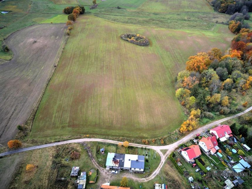 Działki budowlane na kolonii. Parsęcko. miniaturka 14
