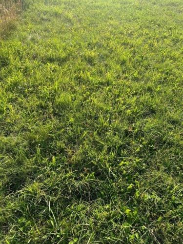 Rusinowo, 295 000 zł, 20 ar, budowlana