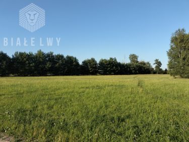 Jagodne, 152 900 zł, 30.58 ar, droga dojazdowa gruntowa
