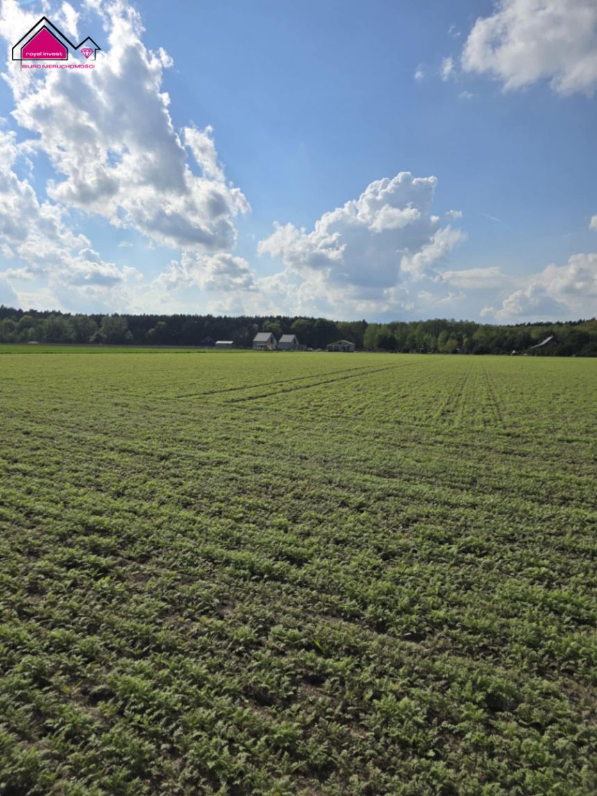 Skrzynka, 83 000 zł, 9.98 ar, rekreacyjna miniaturka 4