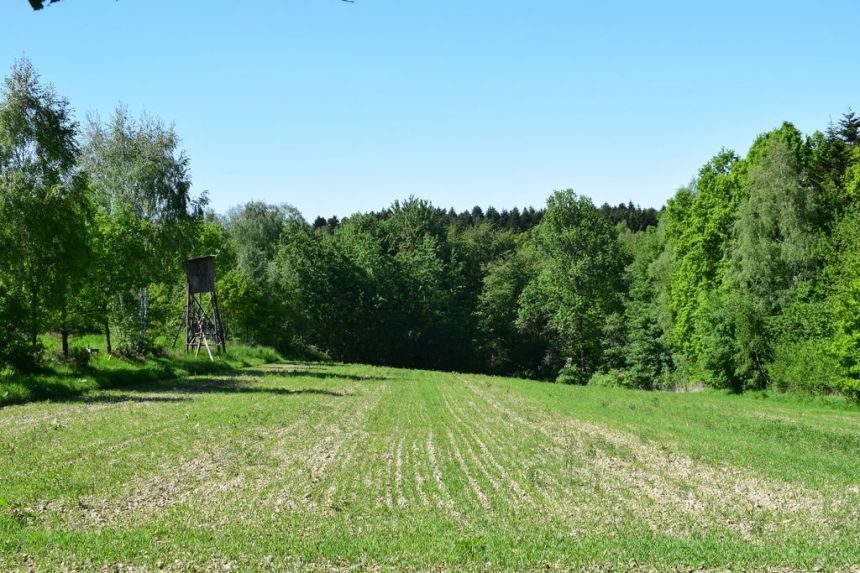 Działki rolne 86a i 112a- Brzeziny miniaturka 11