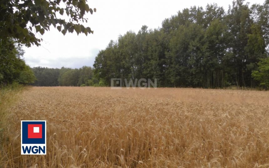 Jacków Kolonia Jacków, 480 000 zł, 107 m2, jednorodzinny miniaturka 15