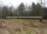 Skierniewice, 138 258 zł, 1.54 ha, droga dojazdowa asfaltowa miniaturka 6