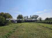 OKAZJA! Dom 170 m2 działka 5300 m2 Zawichost miniaturka 29