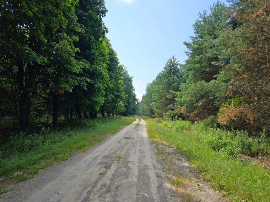 Działka blisko Lasów Kozłowieckich,  Nowodwór miniaturka 14