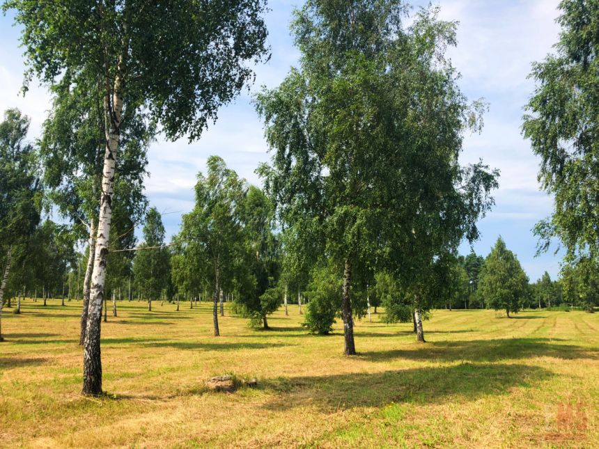 Elbląg, 249 000 zł, 13 ar, budowlana miniaturka 2