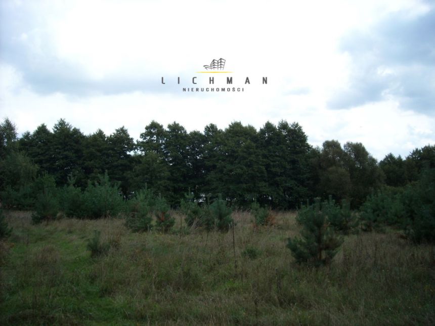 Trojaczek, 349 000 zł, 2.3 ha, rolna miniaturka 15