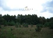 Trojaczek, 349 000 zł, 2.3 ha, rolna miniaturka 15