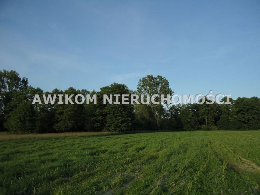 Budy Zosine, 850 000 zł, 2.44 ha, rolna z prawem zabudowy - zdjęcie 1