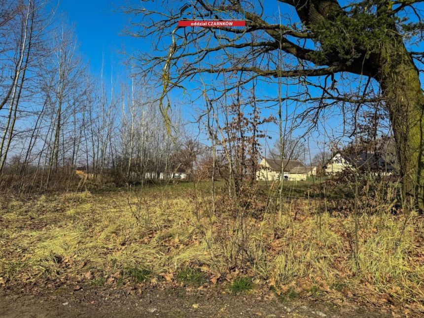 Siedlisko, 57 000 zł, 33 ar, rolna miniaturka 8