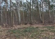 Radość rezydencyjna działka 3050m2 Zbójna Góra miniaturka 2