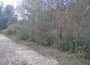 Wolica Kolonia Wolica 419 000 zł 13.86 ar miniaturka 2