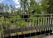 2 pokojowe mieszkanie z balkonem o pow. 45 m2 miniaturka 4