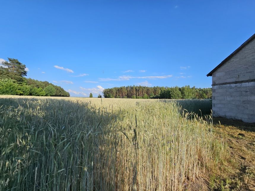 Na sprzedaż siedlisko, duża działka, gm. Ostrówek, miniaturka 15