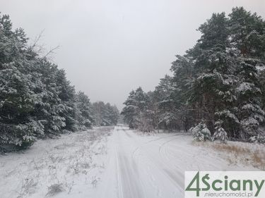 cicha, piękna działka w Falenicy