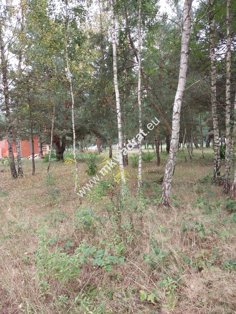 Działka, cicha, MPZP, Osowiec miniaturka 7